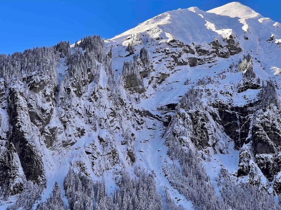 Waterfall View Kandersteg Exterior foto